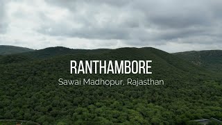 Ranthambore National Park  Rajasthan  Sawai Madhopur  jungle safari ranthambore [upl. by Landers]