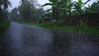 Rain sounds for those who cant sleep due to insomnia  white noise for sleep induction meditation [upl. by Yeuh]