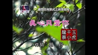 蔡小虎vs龍千玉真心只愛你官方KTV版 [upl. by Ttirrem]