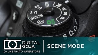 Nikon D500 Camera Shooting Modes Does it Have Scene Modes  Video [upl. by Kazimir]