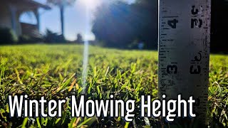 Winter Mowing Height For Evergreen Lawns [upl. by Panter238]