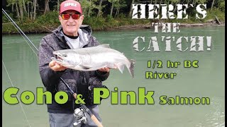 Htc 04 13 BC River Coho and Pink Salmon [upl. by Hnahym]