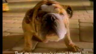 Carrier Air Conditioning Dog Inside Commercial 1994 [upl. by Rebe817]