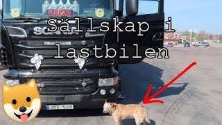 Truckmeet i Juli  Vlogg 76 [upl. by Fraya]