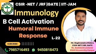 Activation of B Cells  Humoral Immune Response  Immunologygenesisinstitute [upl. by Kceb]