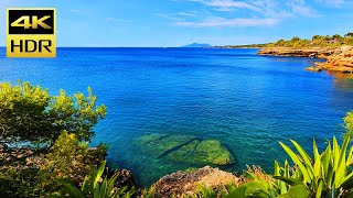 Tropical Plants HDR10 HDR 4K Ultra HD Sample Footage  HDR10 Plus UHD 2160p [upl. by Nrobyalc180]