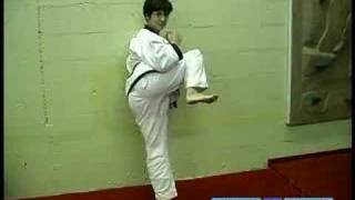 Tang Soo Do Korean Martial Arts  Concentration Kicks in Tang Soo Do Martial Arts [upl. by Bac]