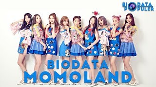 Biodata Momoland Lengkap Semua Member  Fakta Sub Indonesia [upl. by Alex476]