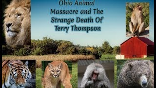 The strange death of Terry Thompson and the zanesville animal massacre [upl. by Niddala281]