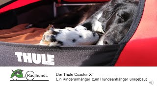 Thule Coaster XT als Hundeanhänger  Umbau und Erfahrungsbericht Test [upl. by Thain]