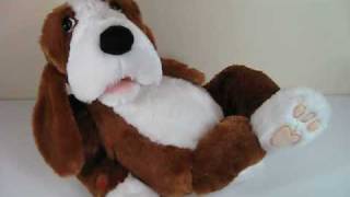 Sammie Dog Sings Dont Worry Be Happy by Gund Fun [upl. by Eidassac191]