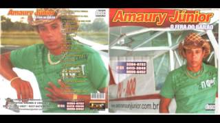 Cd completo Amaury Junior vol 13 [upl. by Ivzt251]