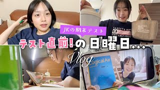 【Vlog】高校の期末テスト直前の1日！眠気対策で友達と・・・ [upl. by Wallache]