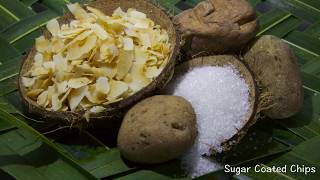 Sri Lanka Desiccated Coconut by M119  Mathammana DC Factory [upl. by Brunn540]