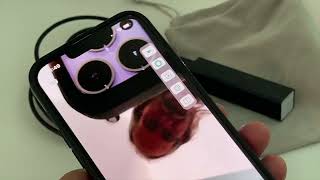 How to use inskam app for wifi endoscope on iPhone 13 Pro Max [upl. by Daitzman286]