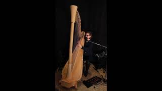 Auld Lang Syne I Robert Burns Harp Voice amp Violin [upl. by Ardnuaek608]