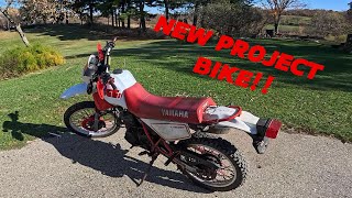 Bought An XT350 To Teach Dad How to Ride HE LOVED THE BIKE [upl. by Zeralda]