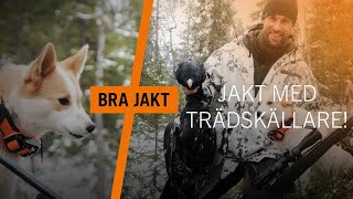 JAKT MED TRÄDSKÄLLARE  BRA JAKT [upl. by Udela]