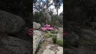 Stand out boulders Granite belt nsw [upl. by Eidnyl]