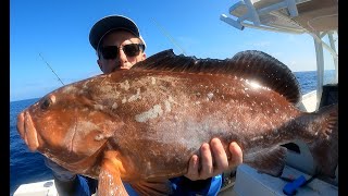 Florida Red Grouper Fishing Regulations for 2024  How to Find amp Catch Red Grouper [upl. by Beck]