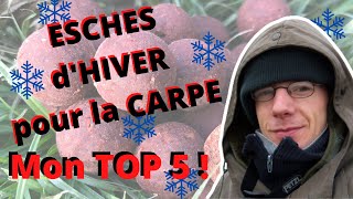 Les ESCHES pour la CARPE en HIVER  Mon Top 5 [upl. by Marlene]