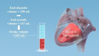 Calculating Stroke Volume [upl. by Adah681]