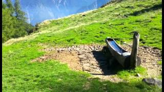 Swiss mountains Alpe di Boggio Soazza Svizzera [upl. by Anelaf]