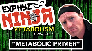 Metabolism Episode 1 quotMetabolic Primerquot [upl. by Eiramalegna]