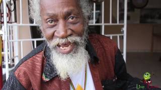 Bunny Wailer Awards and Achievements [upl. by Orren38]