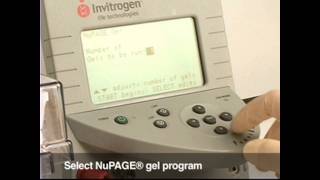 Invitrogen Novex® BisTris Gel System Demonstration [upl. by Garbers]