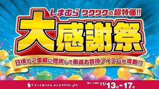 日頃のご愛顧に感謝して厳選お買得アイテムが満載！ しまむら大感謝祭開催！1117日まで！ [upl. by Nestor]