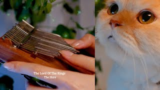 The Lord Of The Rings The Shire  Kalimba cover [upl. by Anahgem663]