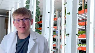 Why Our Vertical Farming is Revolutionizing Agriculture [upl. by Maximilian]