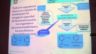 2 QUÍMICA VERDE Biotransformaciones  Benjamín Velasco Bejarano CONADE UTE 20120731 [upl. by Annabel]