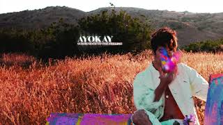 ayokay  Surrender To The Feeling Official Audio [upl. by Yves209]