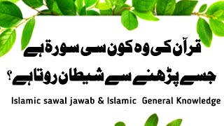 Informative Islamic Question answer  Islamic Sawal Jawab in Urdu  Islamic QnA Islamic quiz [upl. by Milks68]