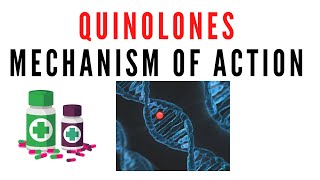 Quinolones pharmacology  Mechanism of action of quinolone antibiotics [upl. by Marwin434]