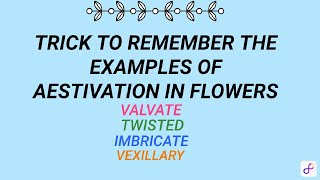 aestivation In flowers trick to remember examplesMorphology of Flowering Plantsneet class 11 [upl. by Ylrebnik467]