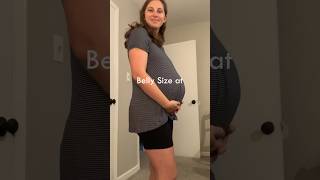 34 weeks pregnant belly bellyprogression [upl. by Eintrok]