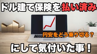 【保険】ドル建て終身保険を払い済みにして気付いた事！ [upl. by Droffats]