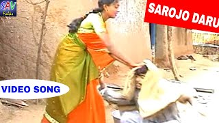 Sarojo Daru Sese Banjara Folk Song  Naavaleri Chwari Album [upl. by Varin]