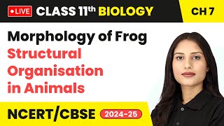 Morphology of Frog  Structural Organisation in Animals  Class 11 Biology Chapter 7  live [upl. by Eiramlirpa]