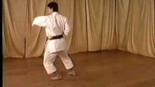 Nijushiho Ohta Sensei JKA Shotokan [upl. by Betthel]