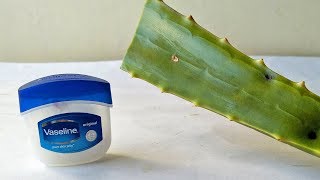 Vaseline and Aloe Vera Gel Face Care Beauty Tips At Home  Simple Skin Care Beauty Life Hacks [upl. by Aniale396]