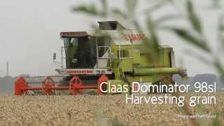 Claas Dominator 98SL Harvesting grain  Flevoland  Biddinghuizen The Netherlands [upl. by Demmahom]