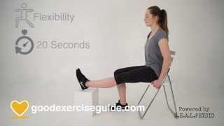 2 Best Total Knee Replacement Exercises Weeks 3 12 [upl. by Imerej396]