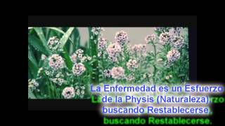 Medicina Homeopática y Medicina de Hipócrates Sanar Conforme a la Naturaleza Documental [upl. by Mamie510]