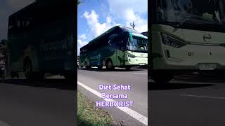 Telolet Basuri By Bus HERBORIST fypシ゚viral automobile viralvideo [upl. by Nyrraf472]