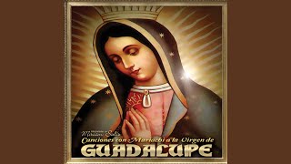 La Guadalupana [upl. by Ful]