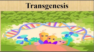 What is Transgenesis and How does it work [upl. by Ased]